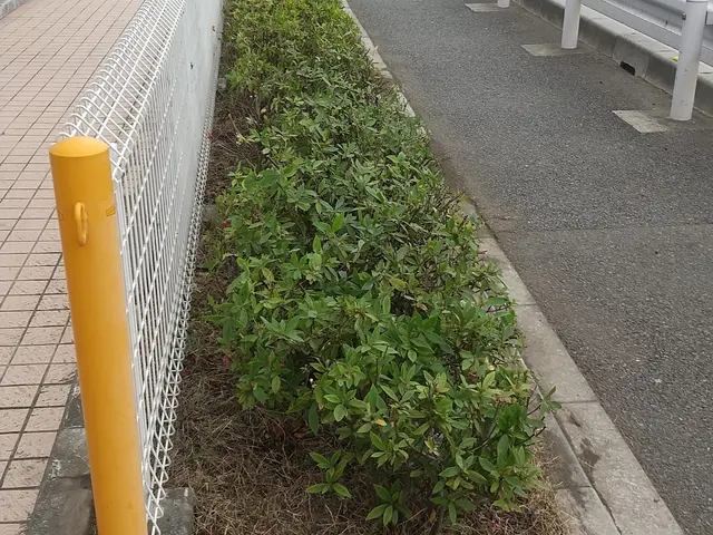 仮予約の前にお写真、寸法、詳細などお問い合わせからご連絡、概算ご提案となりますサービスの画像