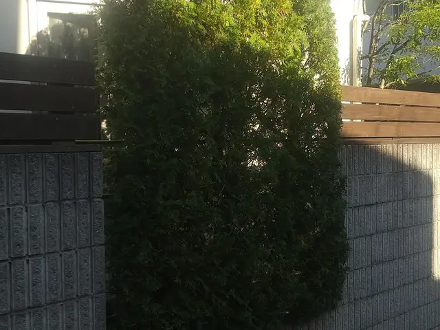 仮予約の前にお写真、寸法、詳細などお問い合わせからご連絡、概算ご提案となりますサービスの画像