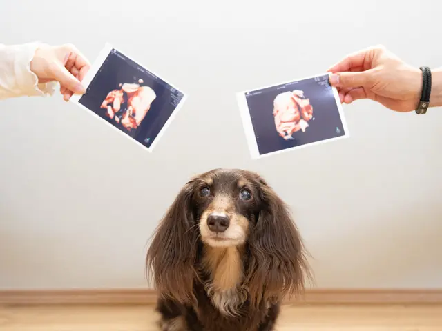 大阪市から伺います！思い出撮影♪豊富な経験と知識で安心！