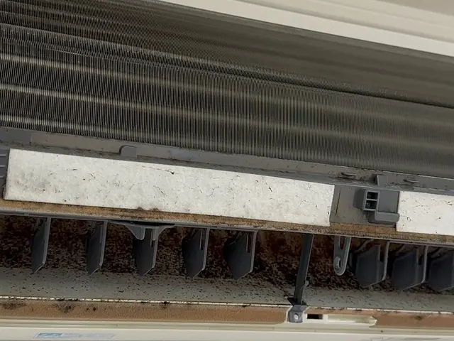 18年の実績と確かな対応力！カビのコーティング剤サービスあり◆女性スタッフ同行可サービスの画像