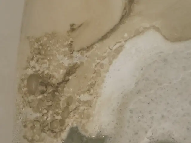 お風呂の追い焚き配管の洗浄です。除菌にも効果があり、気になる臭いもなくなります。サービスの画像