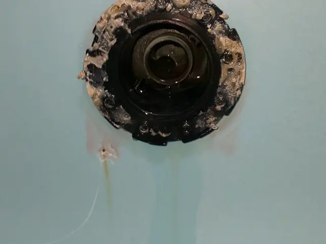 お風呂の追い焚き配管の洗浄です。除菌にも効果があり、気になる臭いもなくなります。サービスの画像