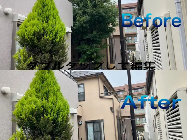 低価格、安く済ませたい方　伐採•抜根も[処分費込み] の安心価格サービスの画像