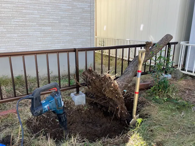 低価格、安く済ませたい方　伐採•抜根も[処分費込み] の安心価格サービスの画像