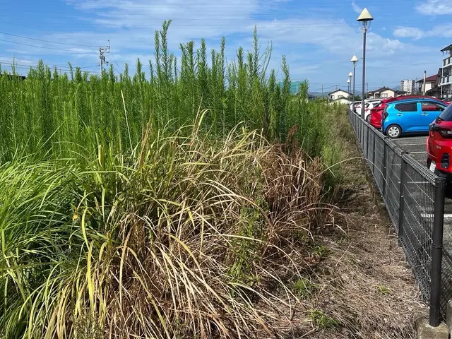 【ご相談・お見積り無料】雑草でお困りのお庭や空き地など丁寧にきれいに致します。サービスの画像