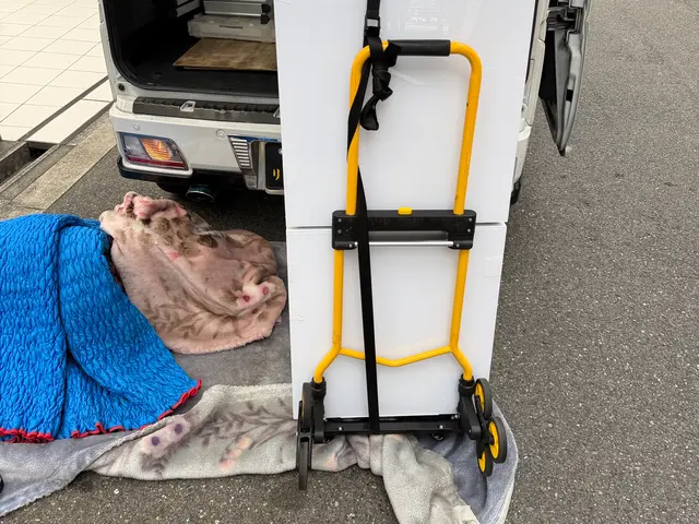 専用装備完備で大切な家財を安全輸送！店長の私が丁寧な作業をお約束サービスの画像