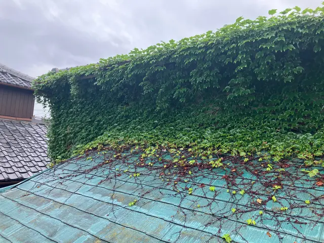 【１月６日～OK！】年間作業数300件のプロが伺います！オンラインカード可◎サービスの画像