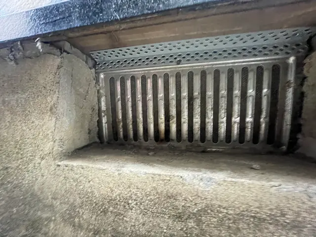 ハクビシン、たぬき、アライグマは住ませない！害獣施工実績豊富なのは山本企画！サービスの画像