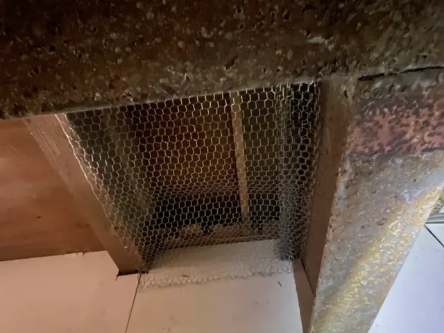 ハクビシン、たぬき、アライグマは住ませない！害獣施工実績豊富なのは山本企画！サービスの画像