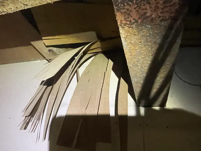 ハクビシン、たぬき、アライグマは住ませない！害獣施工実績豊富なのは山本企画！サービスの画像