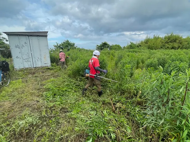 草が伸びてお困りの方へ☆草刈りをスピーディーに対応いたします！駐車場や空き地も☆サービスの画像