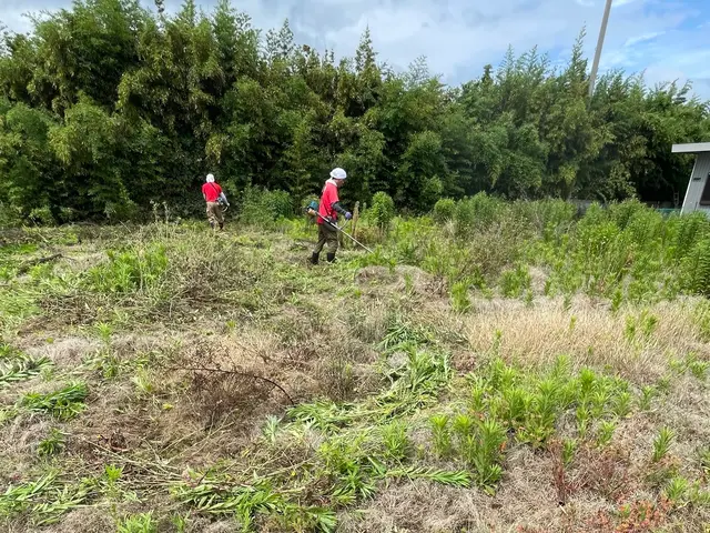 草が伸びてお困りの方へ☆草刈りをスピーディーに対応いたします！駐車場や空き地も☆サービスの画像