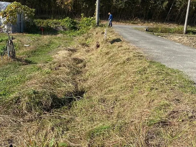 草が伸びてお困りの方へ☆草刈りをスピーディーに対応いたします！駐車場や空き地も☆サービスの画像