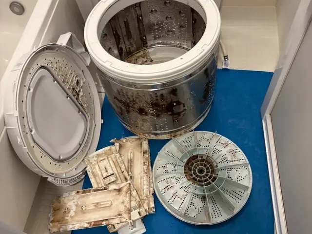 ◎お得な防カビコート無料キャンペーン◎安心の家電メーカー出身★乾燥不良・臭い改善サービスの画像