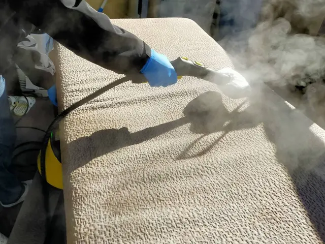 くらしのマーケットマガジン掲載中！ソファの洗浄は専門の私達に任せてください！サービスの画像