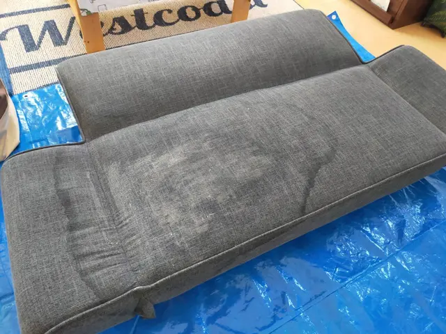 くらしのマーケットマガジン掲載中！ソファの洗浄は専門の私達に任せてください！サービスの画像