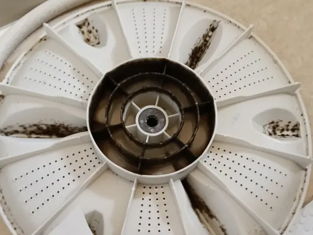 見た目はキレイでも、洗濯機の中は想像以上に汚れています。カビ・臭い・ぬめり除去!サービスの画像