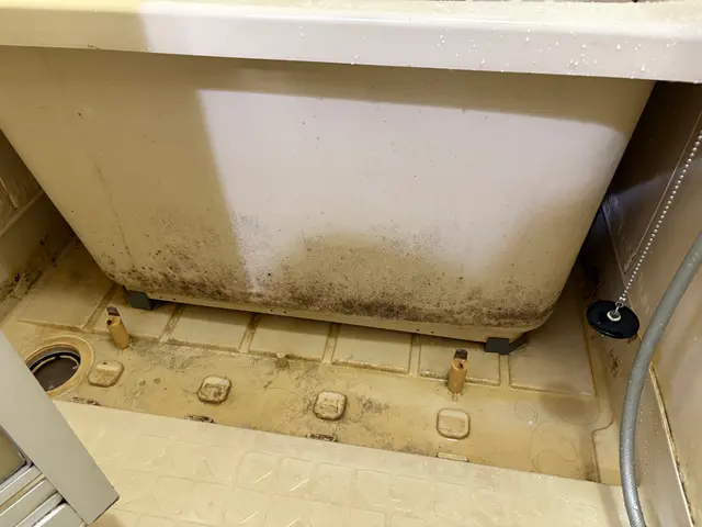 早めの年末の大掃除をお手伝いします。今年は12/17日と18日のみ空いてます。サービスの画像