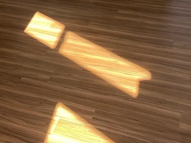 カーペットや畳からもフローリングへ施工可能です！サービスの画像