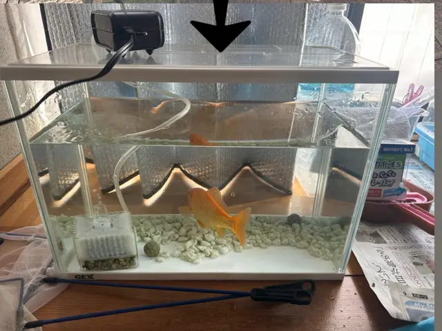 水槽の清掃サービスの画像