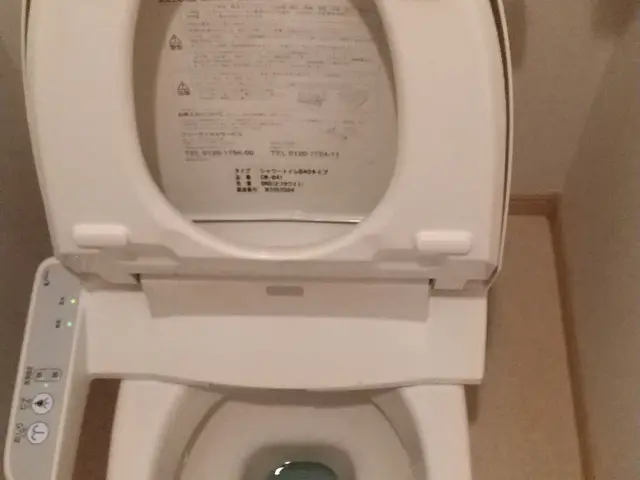 【岡山県発】あなたの家の　お掃除便利屋さん　真っ白なトイレ仕上げです。サービスの画像