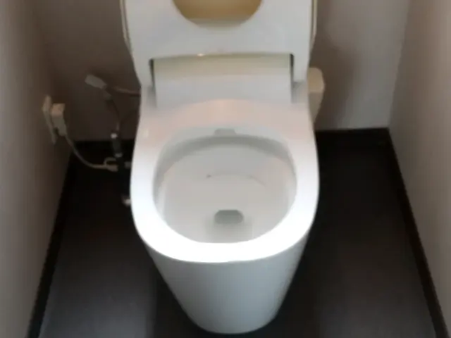 【岡山県発】あなたの家の　お掃除便利屋さん　真っ白なトイレ仕上げです。サービスの画像