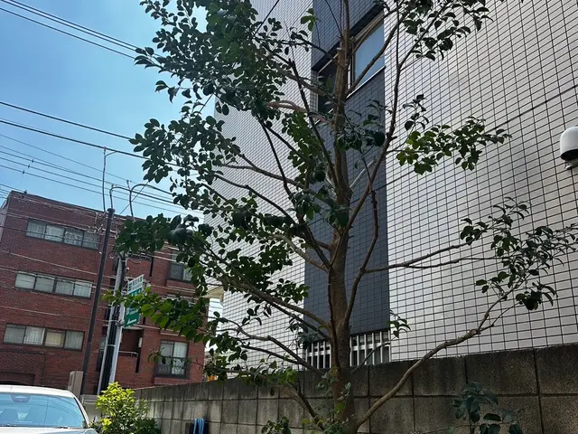 【女性スタッフ同行OK】損害保険加入済みで安心◎対応地域外もご相談OK◎サービスの画像