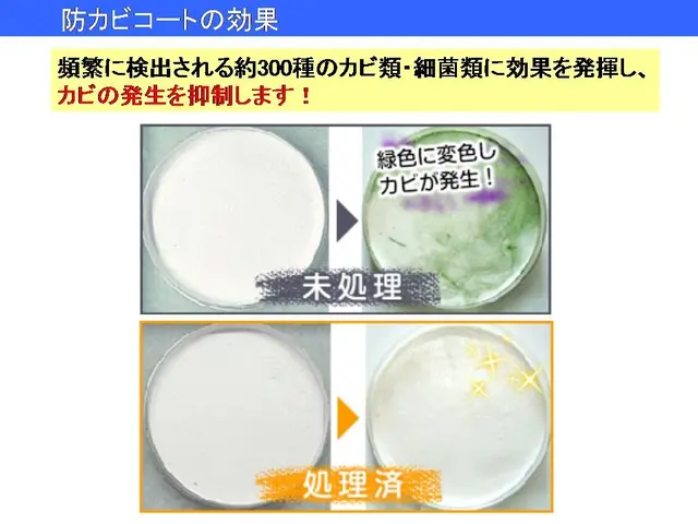 【アーワード受賞店】私が伺います複数台がお得！2台以上は『10,000円/台』サービスの画像