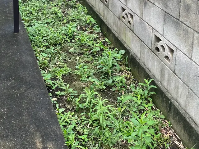 女性スタッフ活躍中☆すべて自社対応◎豊富な経験と知識で安心！サービスの画像