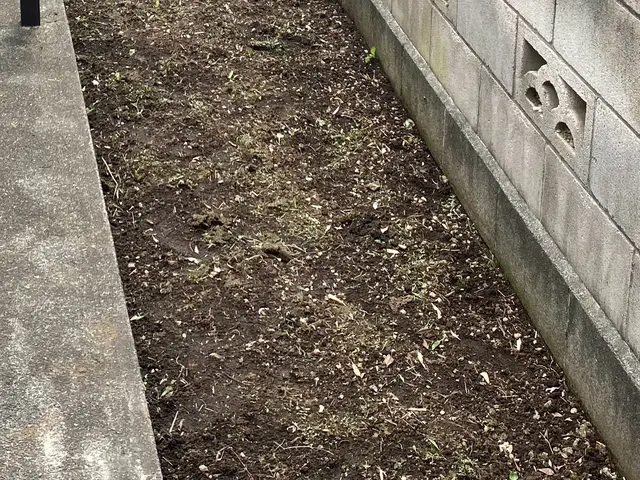 女性スタッフ活躍中☆すべて自社対応◎豊富な経験と知識で安心！サービスの画像