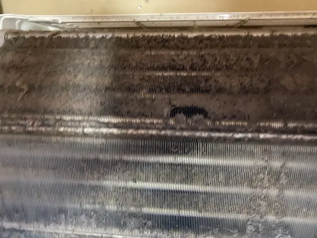 【カビ・におい】気になる方はお任せ下さい◎丁寧な作業◎徹底洗浄サービスの画像