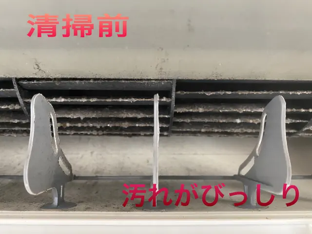 【カビ・におい】気になる方はお任せ下さい◎丁寧な作業◎徹底洗浄サービスの画像