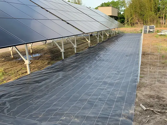 太陽光発電所オーナー様の力になります！外房地域限定！サービスの画像