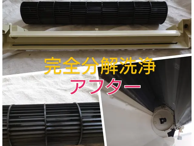 エアコン洗浄は夏に発生したカビが暖房で活発化しカビの胞子をまき散らす前にどうぞ！サービスの画像