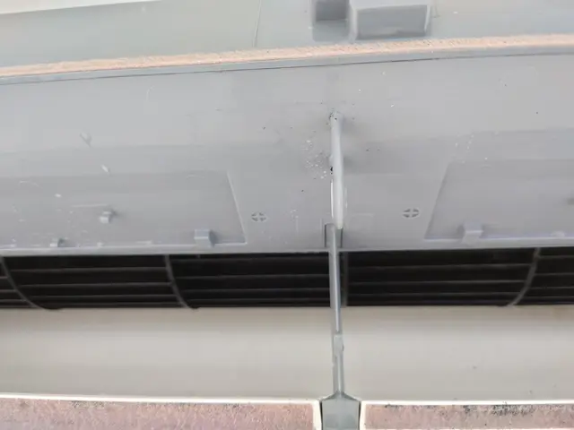 エアコン洗浄は夏に発生したカビが暖房で活発化しカビの胞子をまき散らす前にどうぞ！サービスの画像