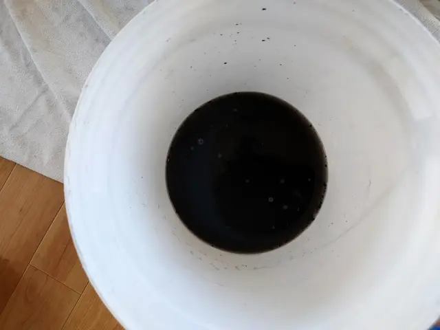 エアコン洗浄は夏に発生したカビが暖房で活発化しカビの胞子をまき散らす前にどうぞ！サービスの画像