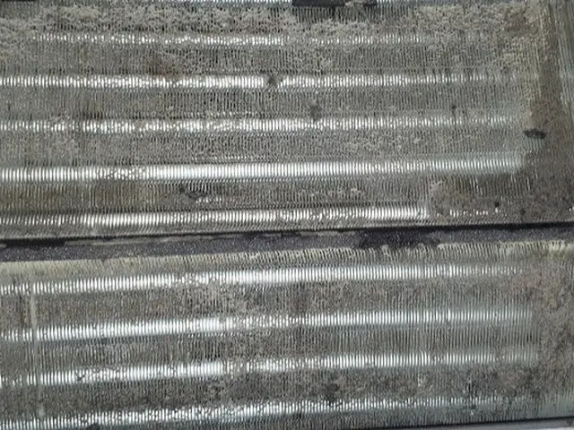 【複数台がお得です】2台目～2,000円引！お掃除機能も可！サービスの画像