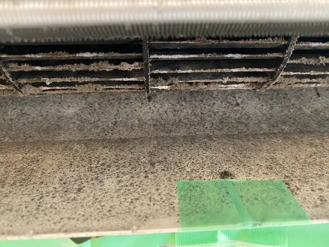 【春の早得祭り】総作業件数1,000件！安心の出張クリーニングサービスの画像