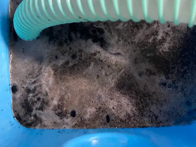 【春の早得祭り】総作業件数1,000件！安心の出張クリーニングサービスの画像