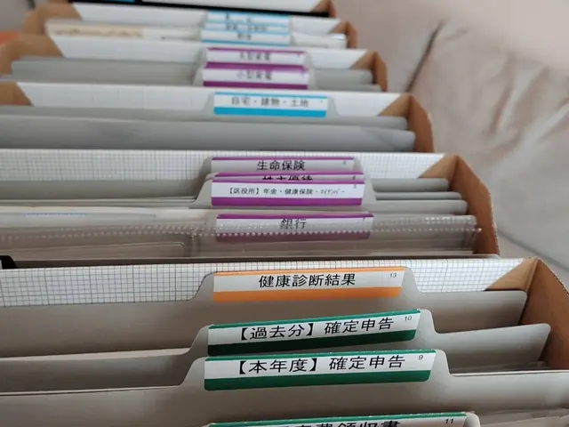 【書類整理専門】　見た目もスッキリ美しい！　書類にも定位置を！サービスの画像