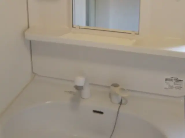 日本ハウスクリーニング協会員のハウスクリーニング士が対応します！損害保険加入済サービスの画像