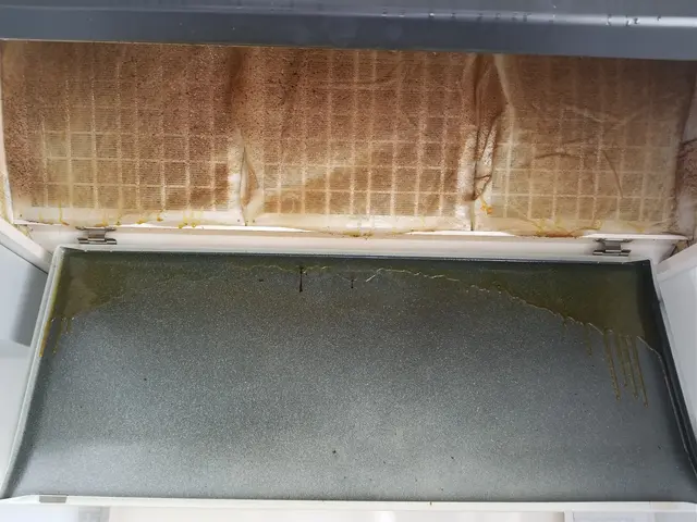 換気扇のベトベトもツルツルに♪◎作業完了後キャッシュレス決済可！新座市発サービスの画像