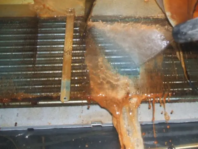 〈1日2組限定〉今なら高圧W洗浄をこの価格でお試し頂けます！抗菌コート込＆複割♪サービスの画像