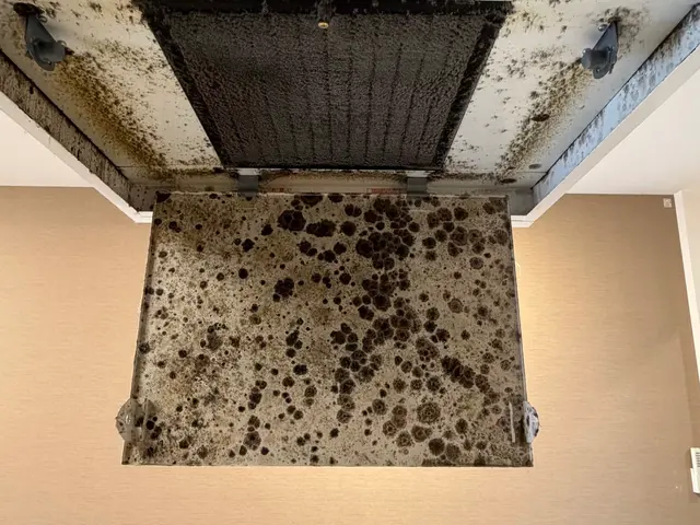 「丁寧な作業でリピーター続出！女性スタッフ指定もできる安心クリーニング」サービスの画像