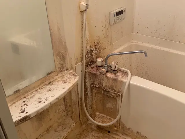 「丁寧な作業でリピーター続出！女性スタッフ指定もできる安心クリーニング」サービスの画像