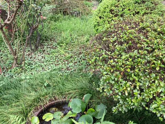 【作業外注一切なし！】お客様の立場になって丁寧に作業します！サービスの画像