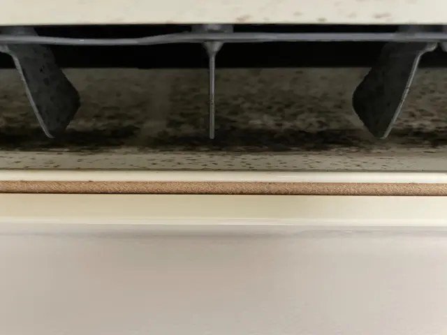 ◆暖房使用前にお掃除しませんか？サービスの画像