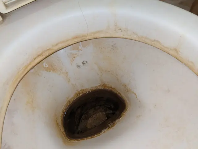 【徹底力】☆代表のわたしがお伺いします☆綺麗を通じて笑顔をお届けサービスの画像