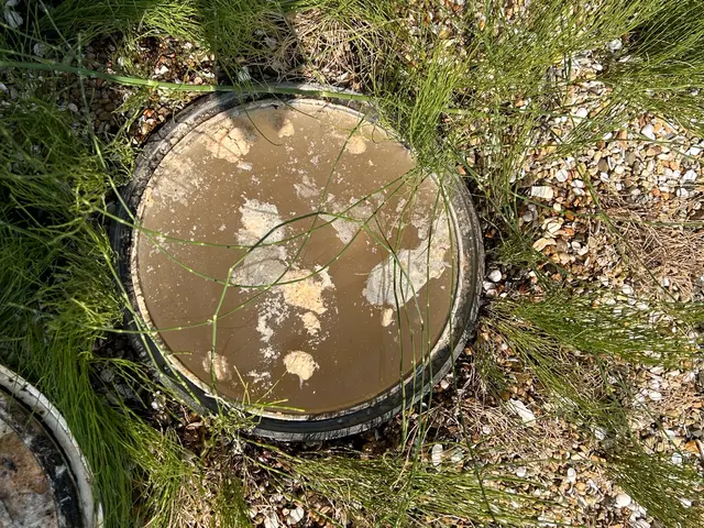 排水管洗浄サービスの画像