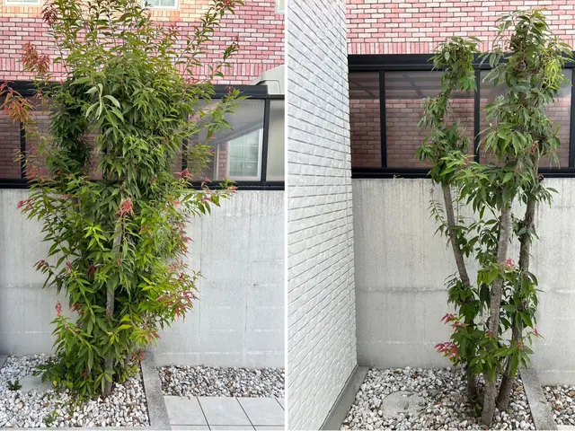 ◎年中無休◎土日祝もご予約大歓迎◎営業時間外も対応可◎女性スタッフ同行可サービスの画像